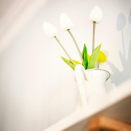 Hi Suite Malaga Centro Dış mekan fotoğraf