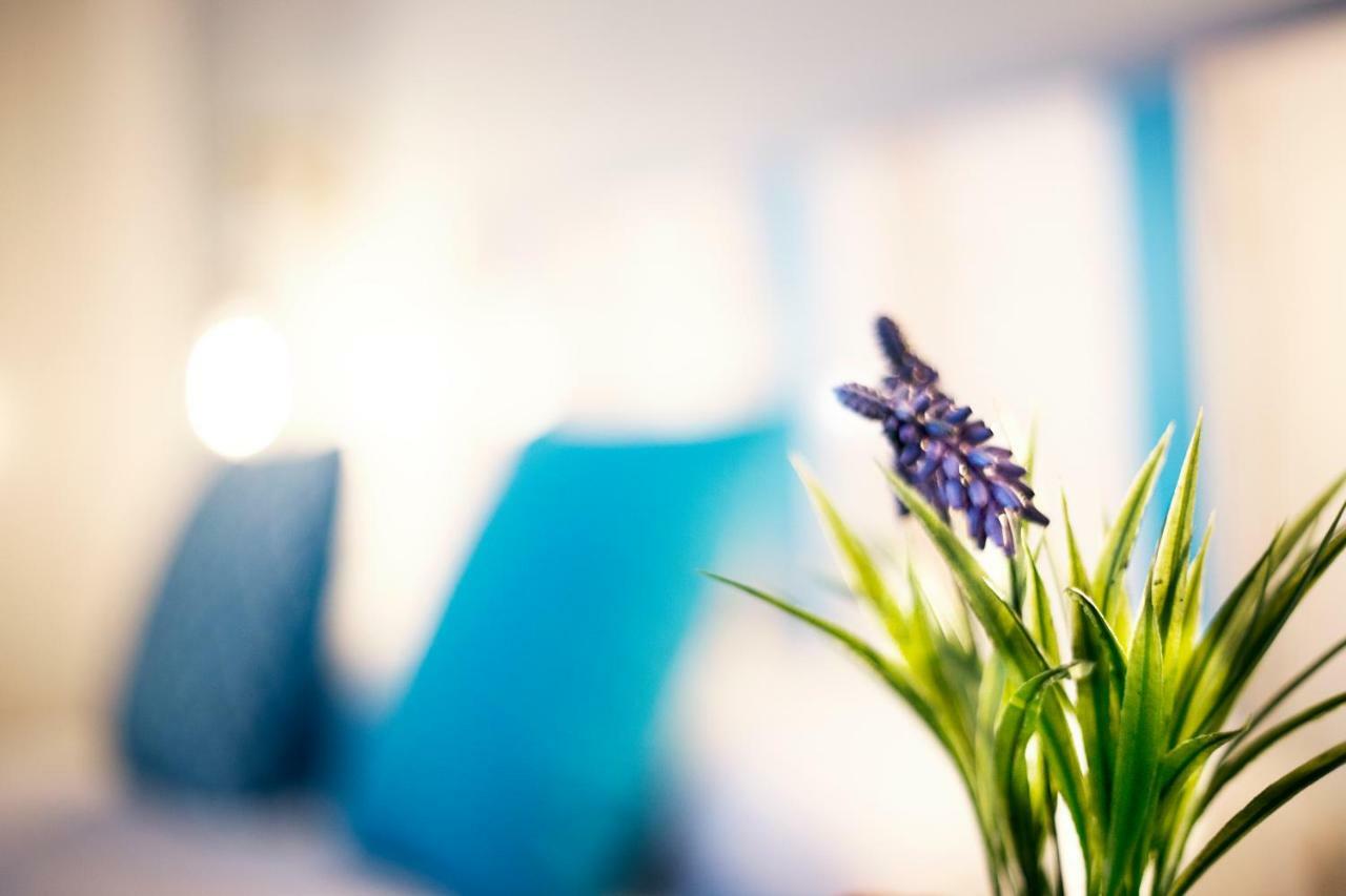 Hi Suite Malaga Centro Dış mekan fotoğraf