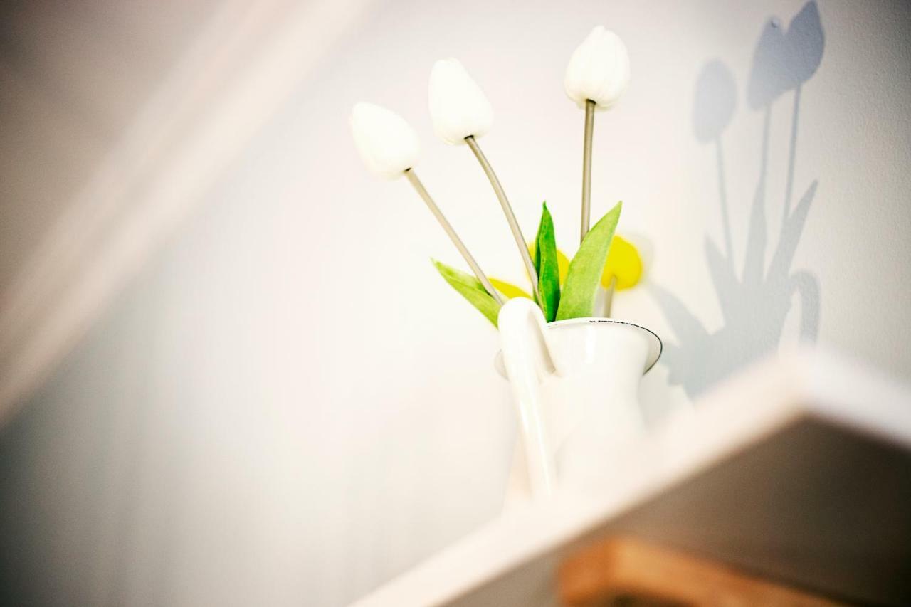 Hi Suite Malaga Centro Dış mekan fotoğraf